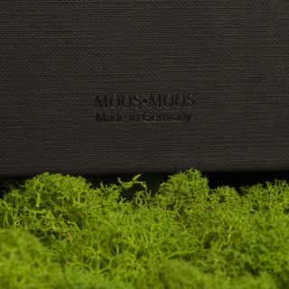 Amalia in Geschenkverpackung - 25 x 25 cm - Apfelgrün - 4