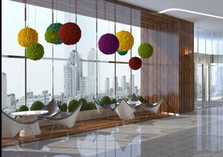 Moosball mit Islandmoos