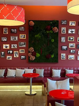 Moosbild Waldmoos, Pflanzen & Hortensien roter Tischlerrahmen - 2