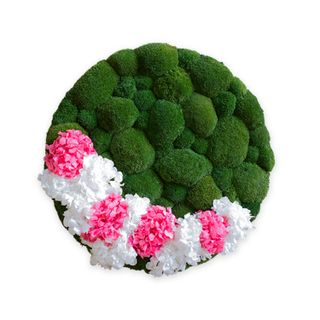 Moosbild mit Ballenmoos, Hortensien & LED-Beleuchtung