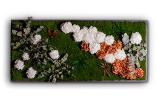Moosbild Waldmoos mit Pflanzen & Hortensien