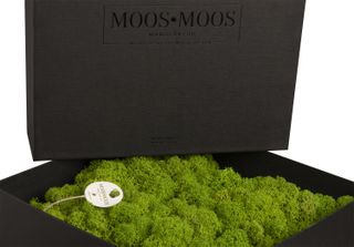 Amalia in Geschenkverpackung - 25 x 25 cm - Apfelgrün - 3