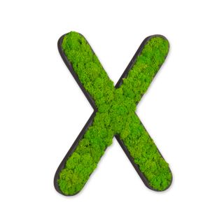 Buchstaben mit Islandmoos