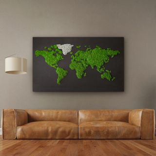 Moosbild