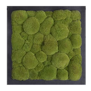 Moosbild mit Kugelmoos - 35 x 35 cm - Holzfaserplatte - 2