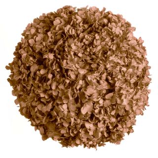 Moosball mit Hortensien