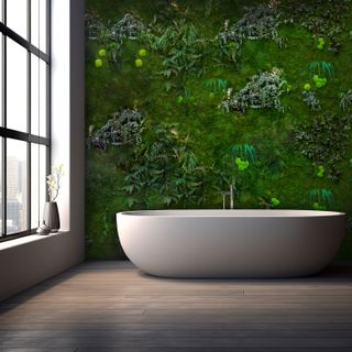 Mooswand mit Pflanzenmoos