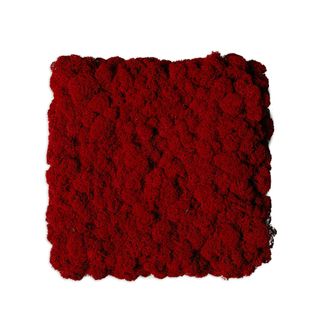 Moos Wandverkleidung - Amalia