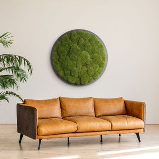 Moosbild Rund Kugelmoos Dunkelgrün auf Holzfaserplatte anthrazit - 1