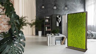 Raumteiler Scooter Invisible mit Islandmoos