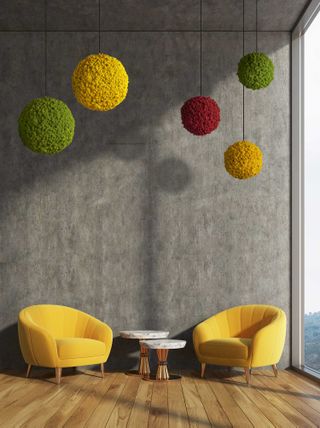 Moosball mit Islandmoos