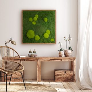 Moosbild mit Kugelmoos und Waldmoos - 80 x 80 cm - Holzrahmen Lärche geölt - 1