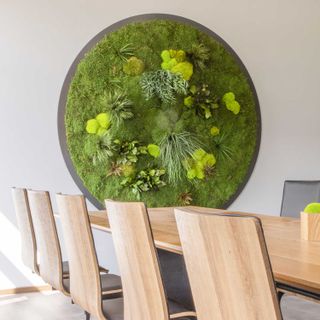 Moosbild Gigant Rund Nature Eye London No. 4 Pflanze auf Holzfaserplatte schwarz lackiert matt - 1