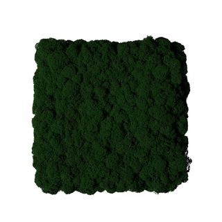 Moos Wandverkleidung - Amalia