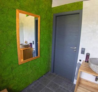 Mooswand mit Waldmoos