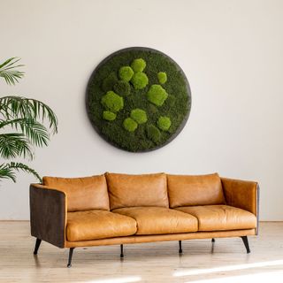 Moosbild Rund Wald- & Kugelmoos im Dunkelgrün - 1