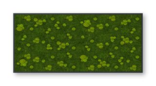 Konfiguriertes Moosbild Ballen- & Waldmoos 260cm x 120cm (B x H) mit Holzplatte in Anthrazit