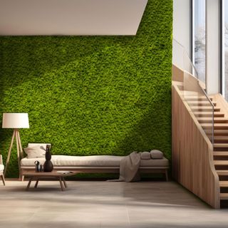 Moospaneel Napoleo MEADOW Islandmoos