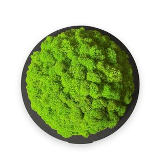 MOOSMOOS „Touchpoint“ mit Geschenkverpackung