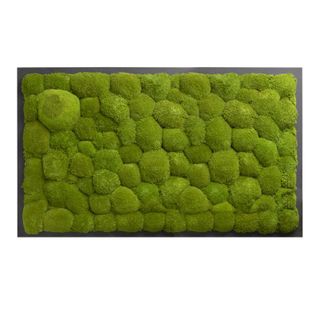 Moosbild mit Kugelmoos - 100 x 60 cm - Holzfaserplatte anthrazit - 2