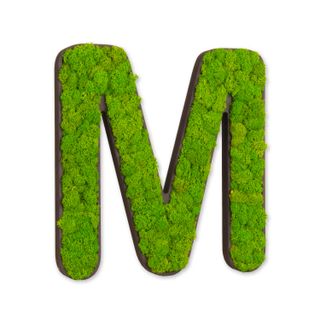 Buchstaben mit Islandmoos