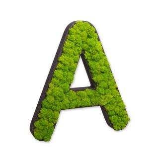 Buchstaben mit Islandmoos