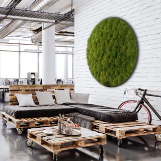 Rundes Gigant Moosbild versch. Größen Kugelmoos in Dunkelgrün auf Holzfaserplatte Anthrazit - 1