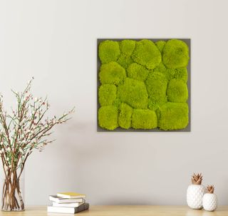 Moosbild mit Kugelmoos - 35 x 35 cm - Holzfaserplatte - 1