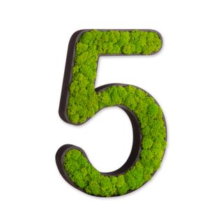 Zahlen mit Islandmoos