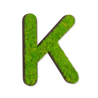 Buchstaben mit Islandmoos