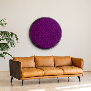 Moosbild Rund mit Islandmoos