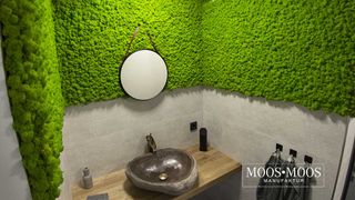 Moospaneel Napoleo PREMIUM Islandmoos Moosgrün 38x58cm - 4