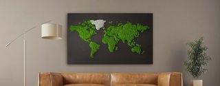 Moosbild Weltkarte bicolor mit Islandmoos