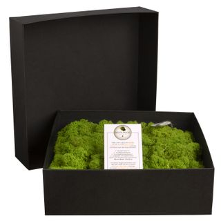 Amalia in Geschenkverpackung - 25 x 25 cm - Apfelgrün - 2