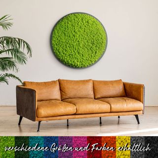 Moosbild Rund mit Islandmoos