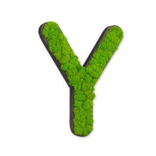 Buchstaben mit Islandmoos