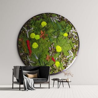Moosbild Gigant Rund Nature Eye London No. 2 Pflanze auf Holzfaserplatte schwarz lackiert matt - 1