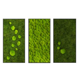 Moosbild Modern Classics Vol. 1