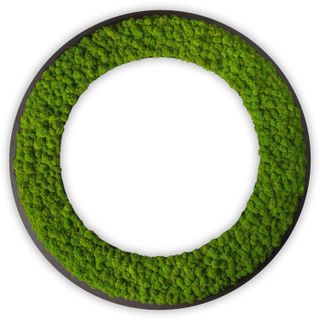 MOOSMOOS GAME ON - Dart Surround – Premium Dartschutz aus echtem Islandmoos