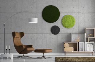 Moos ´Circle´ 3er Set „Bright Forest“ mit Islandmoos, rundes Moosbild - 1