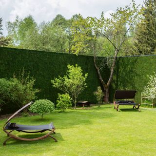 Greenovation - Fassadenbegrünung