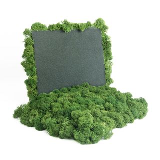 Moos Wandverkleidung - Amalia