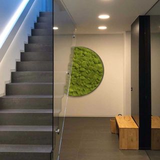 Rundes Gigant Moosbild versch. Größen Kugelmoos in Grün auf Holzfaserplatte Anthrazit - 2