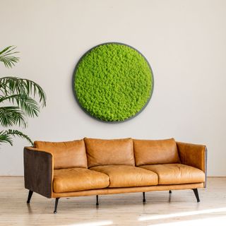 Moosbild Rund mit Islandmoos