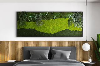 Moosbild mit Moosmix und Pflanzen 260 x 100 cm auf Holzfaserplatte anthrazit - 1