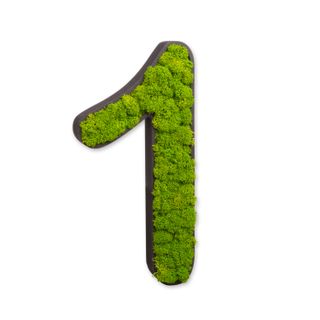 Zahlen mit Islandmoos