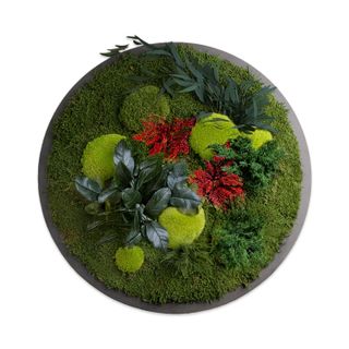 Moosbild Dschungel Rund