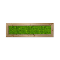 Deal: Moosbild mit Islandmoos
