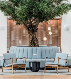 Showroom München
