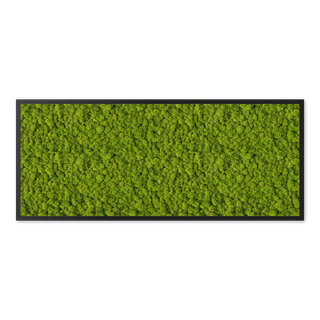 Konfiguriertes Moosbild Islandmoos Premium Line 95cm x 40cm (B x H) Tischlerrahmen in Schwarz